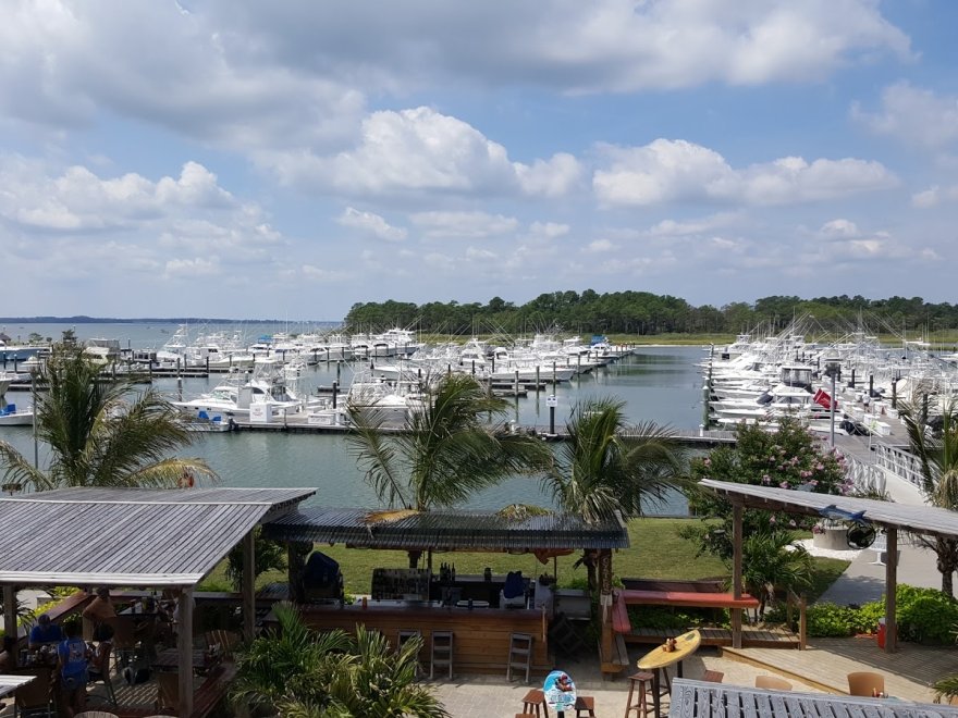 Indian River Marina