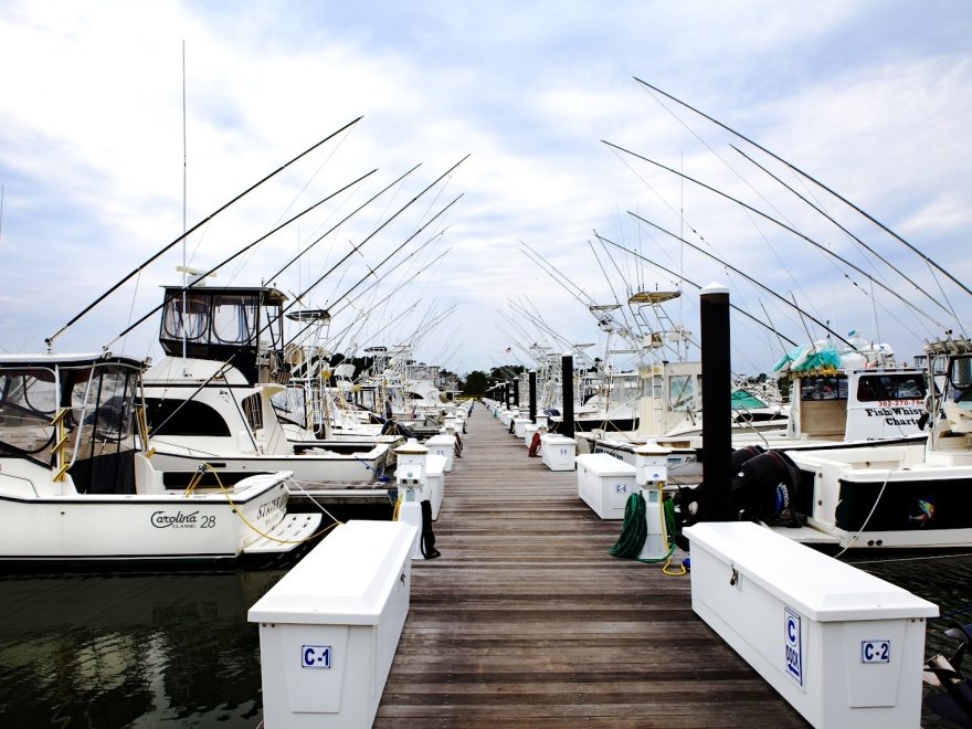 Indian River Marina