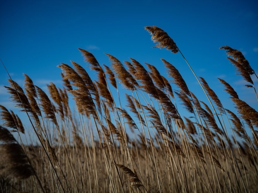 DuPont Nature Center