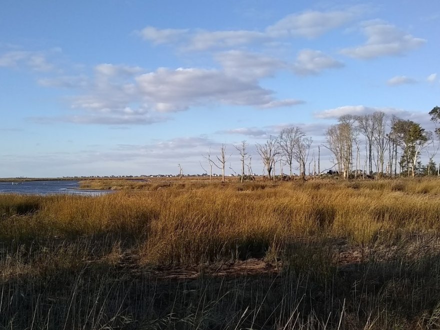 Prime Hook National Wildlife Refuge Visitor Center