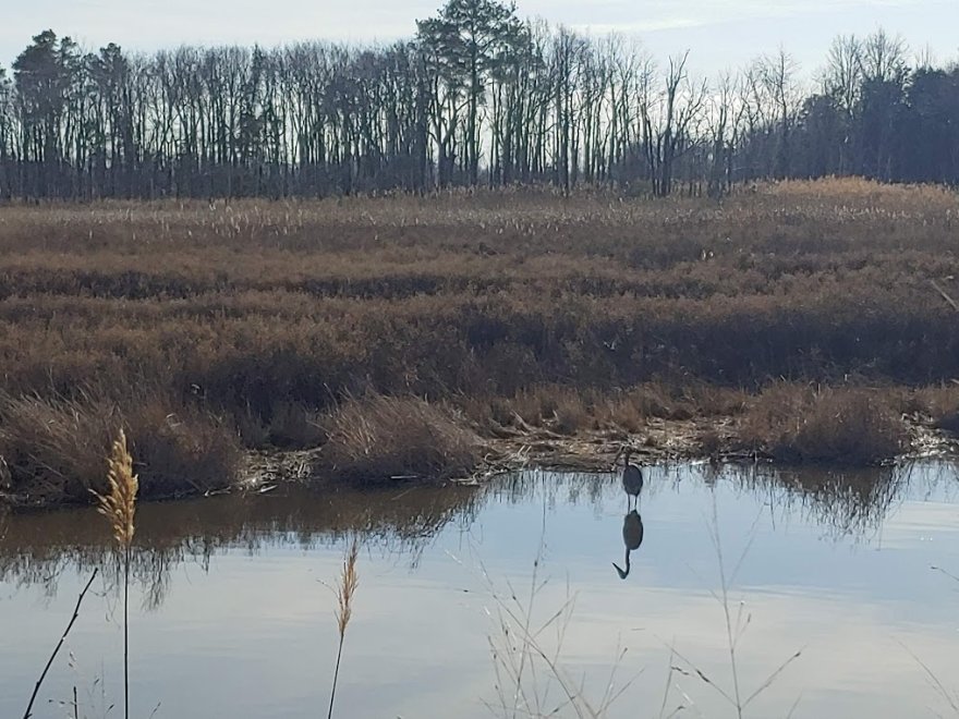 Prime Hook National Wildlife Refuge Visitor Center