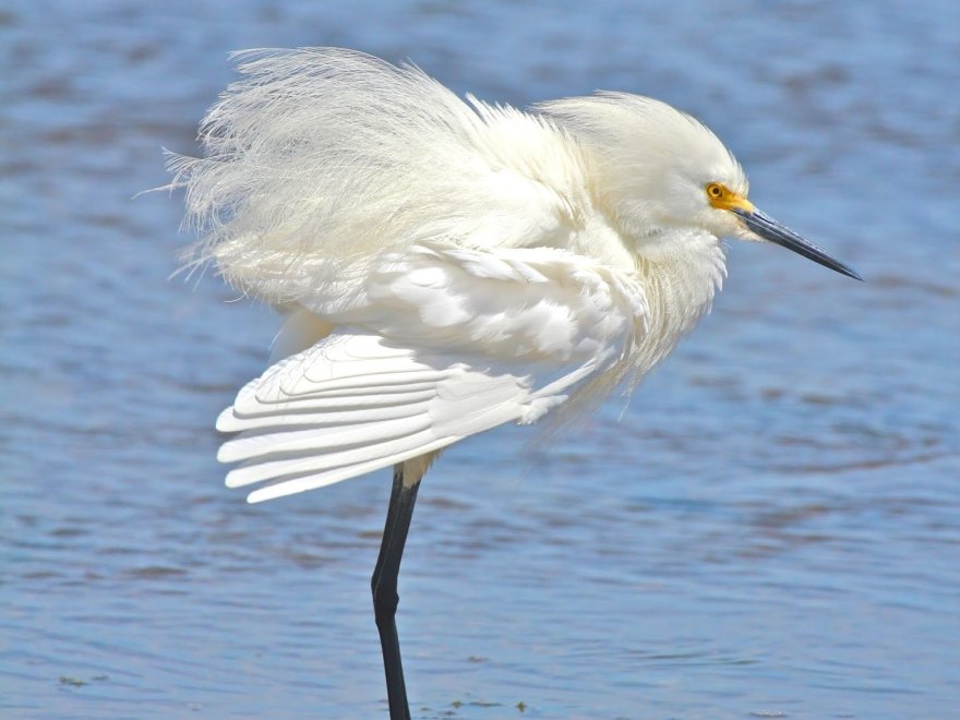 Prime Hook National Wildlife Refuge Visitor Center
