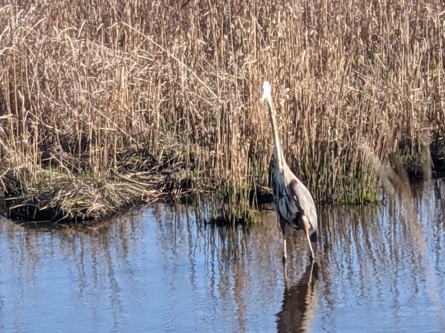 Prime Hook National Wildlife Refuge Visitor Center