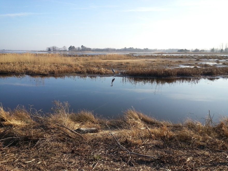 Prime Hook National Wildlife Refuge Visitor Center