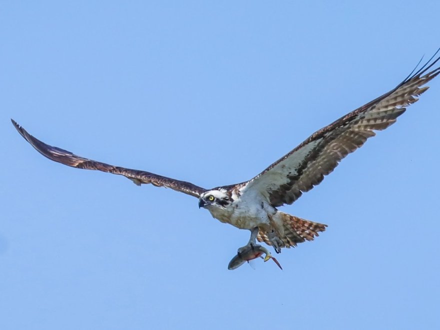 Prime Hook National Wildlife Refuge Visitor Center