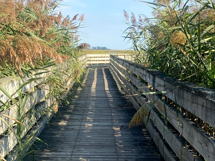 Prime Hook National Wildlife Refuge Visitor Center
