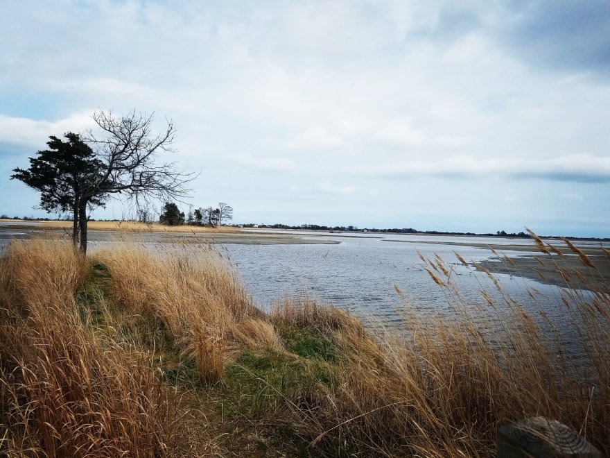 Prime Hook National Wildlife Refuge Visitor Center