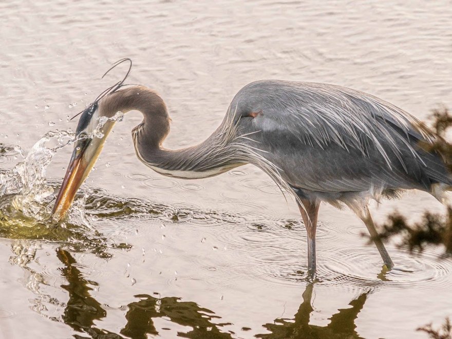 Prime Hook National Wildlife Refuge Visitor Center