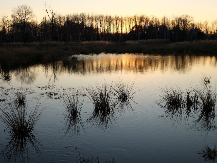 Prime Hook National Wildlife Refuge Visitor Center