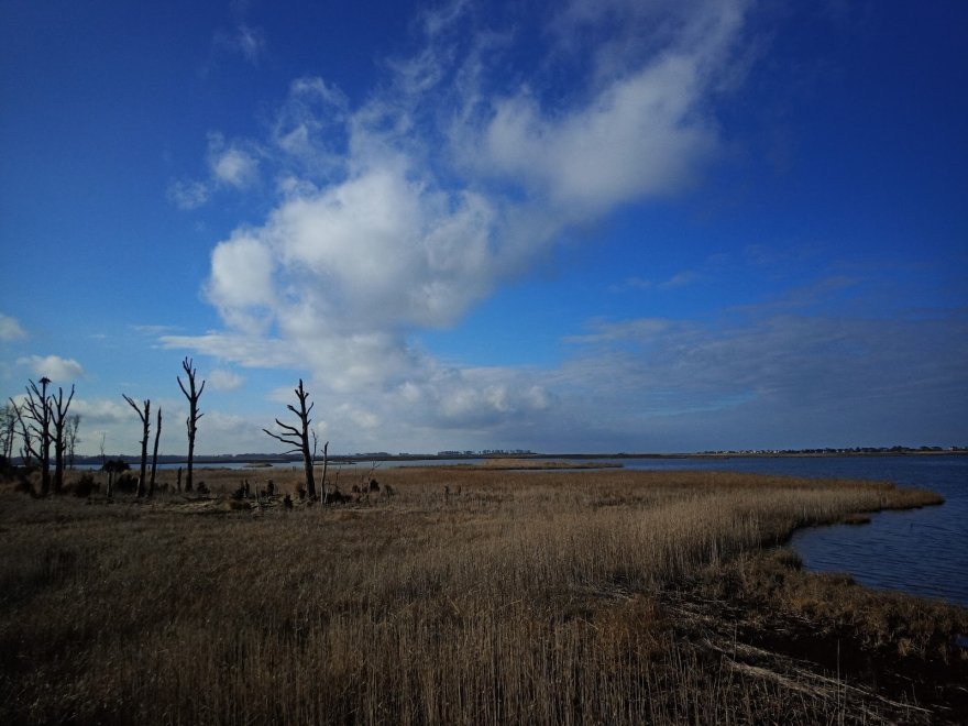 Prime Hook National Wildlife Refuge Visitor Center