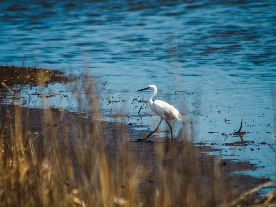 Prime Hook National Wildlife Refuge Visitor Center