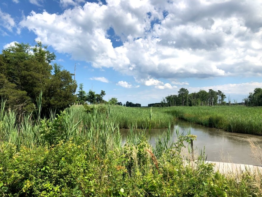 Prime Hook National Wildlife Refuge Visitor Center