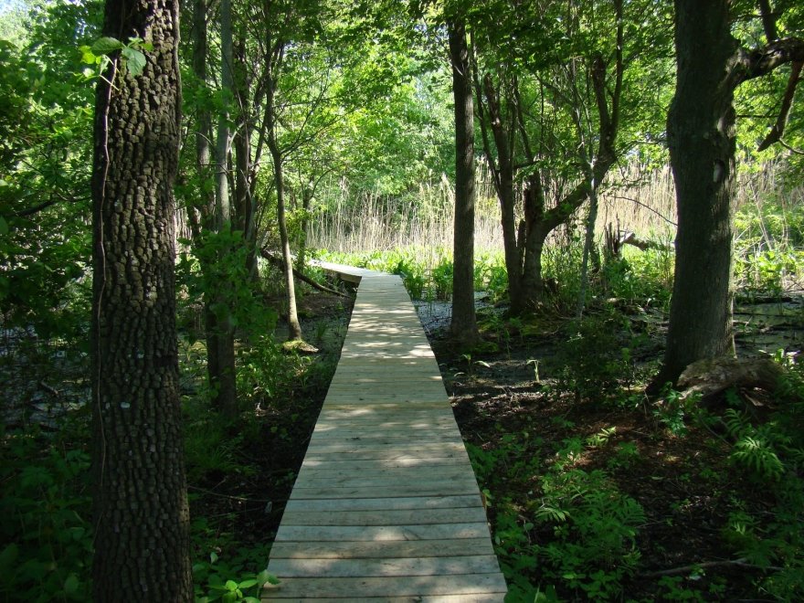 Prime Hook National Wildlife Refuge Visitor Center