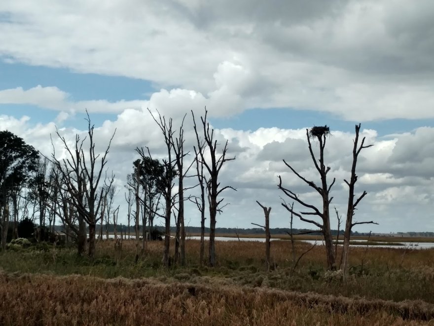Prime Hook National Wildlife Refuge Visitor Center