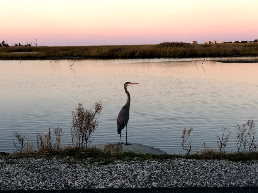 Prime Hook National Wildlife Refuge Visitor Center