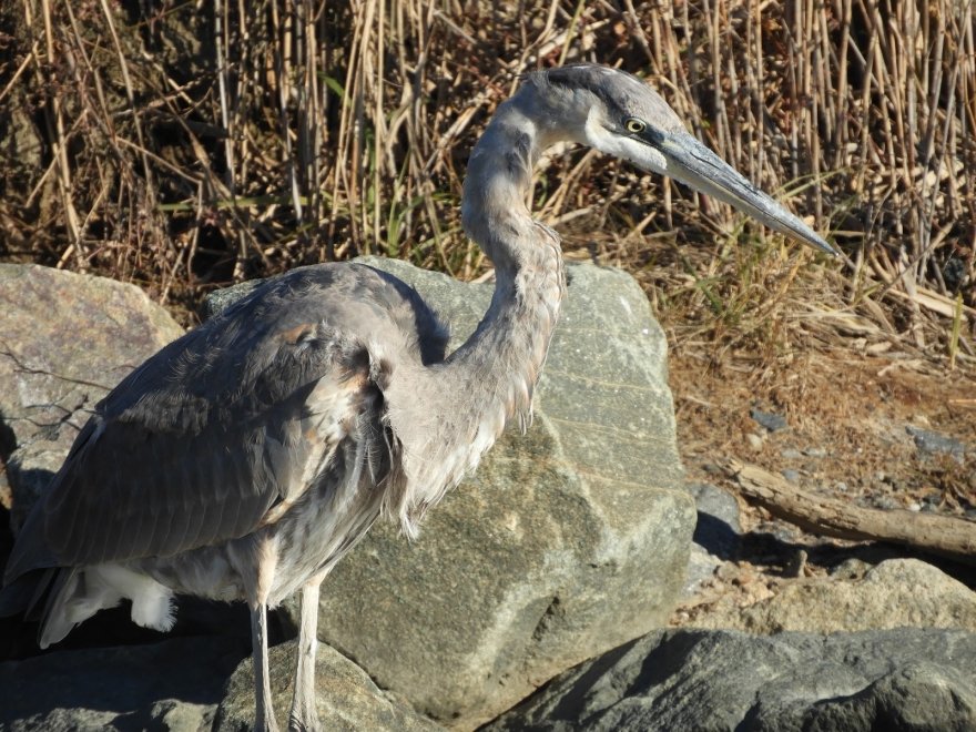 Prime Hook National Wildlife Refuge Visitor Center