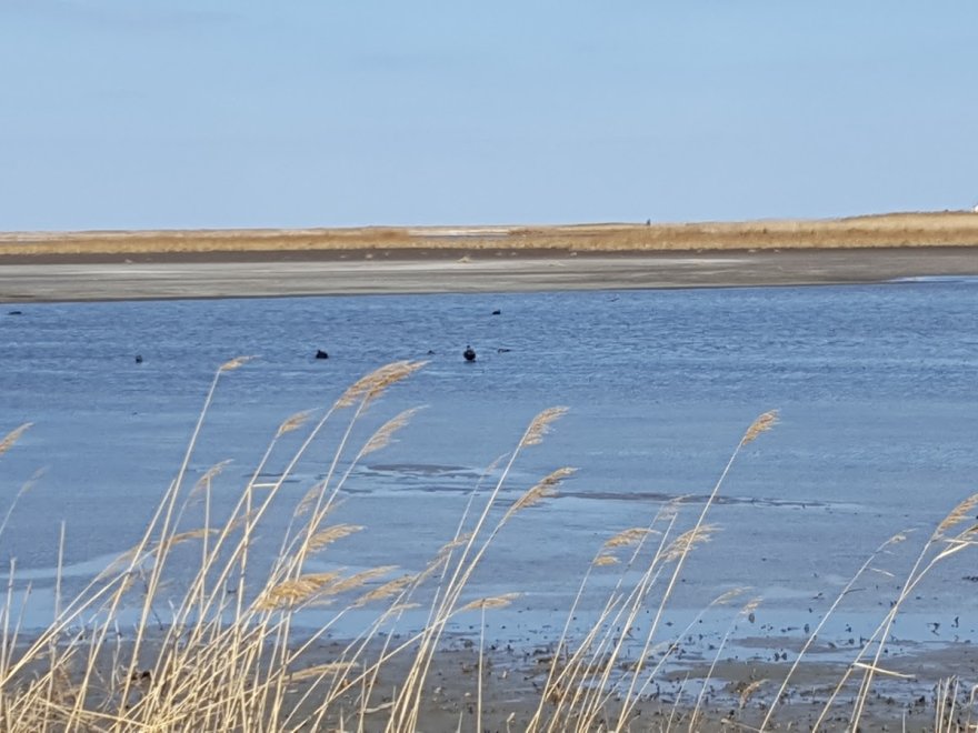 Prime Hook National Wildlife Refuge Visitor Center