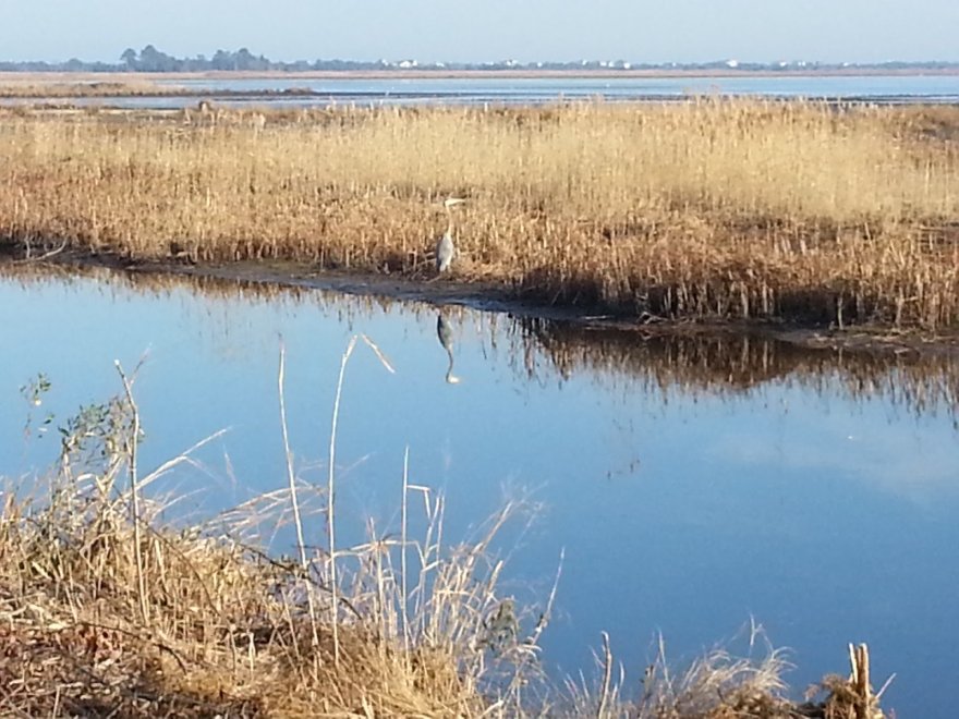 Prime Hook National Wildlife Refuge Visitor Center