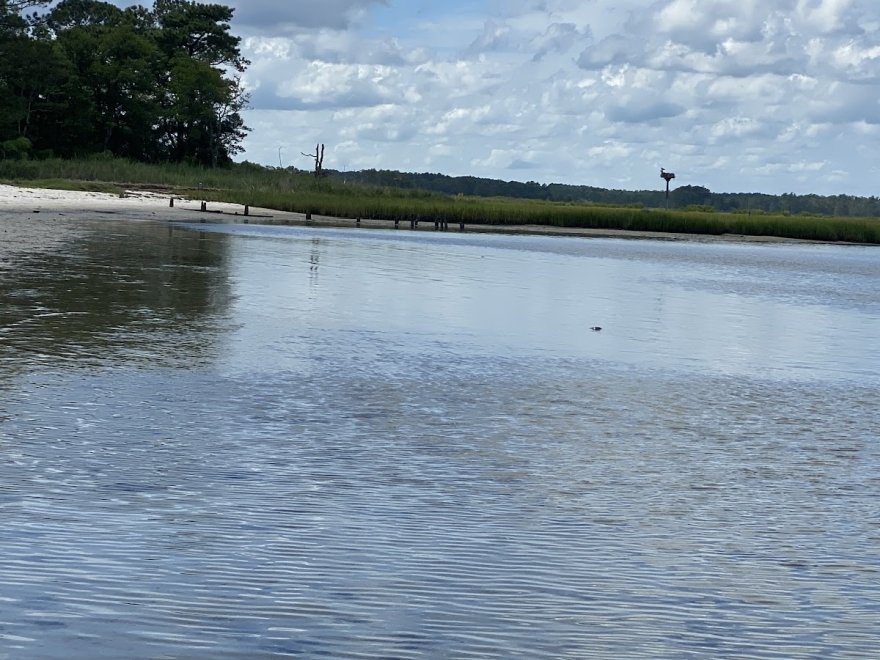 James Farm Ecological Preserve