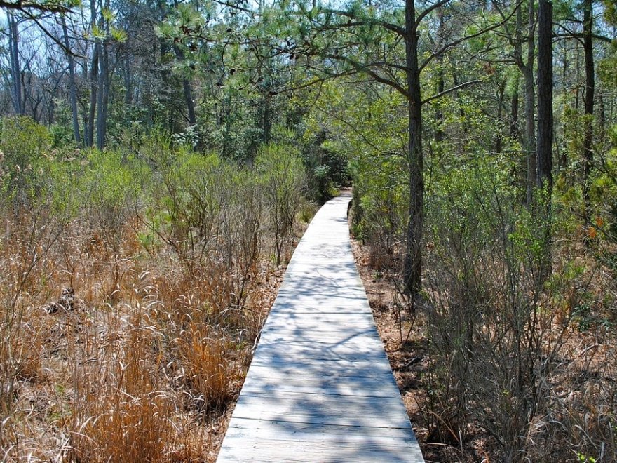 James Farm Ecological Preserve