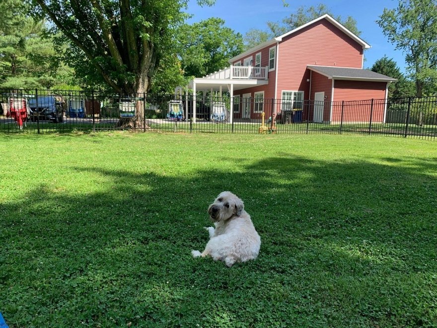 Homestead B&B at Rehoboth Beach Homestead B&B at Rehoboth Beach