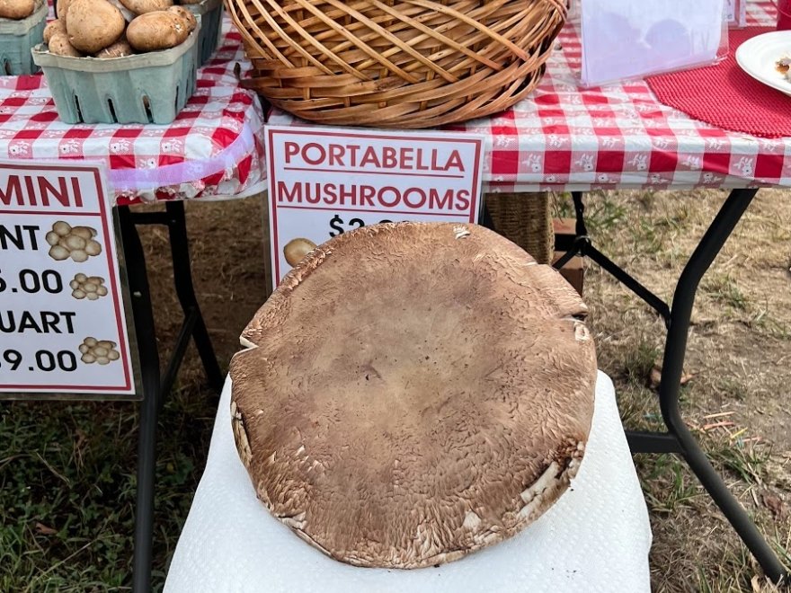 Historic Lewes Farmers Market