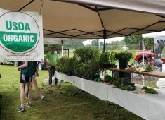 Historic Lewes Farmers Market