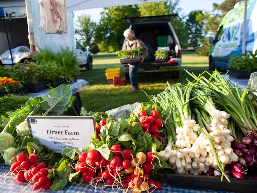 Historic Lewes Farmers Market