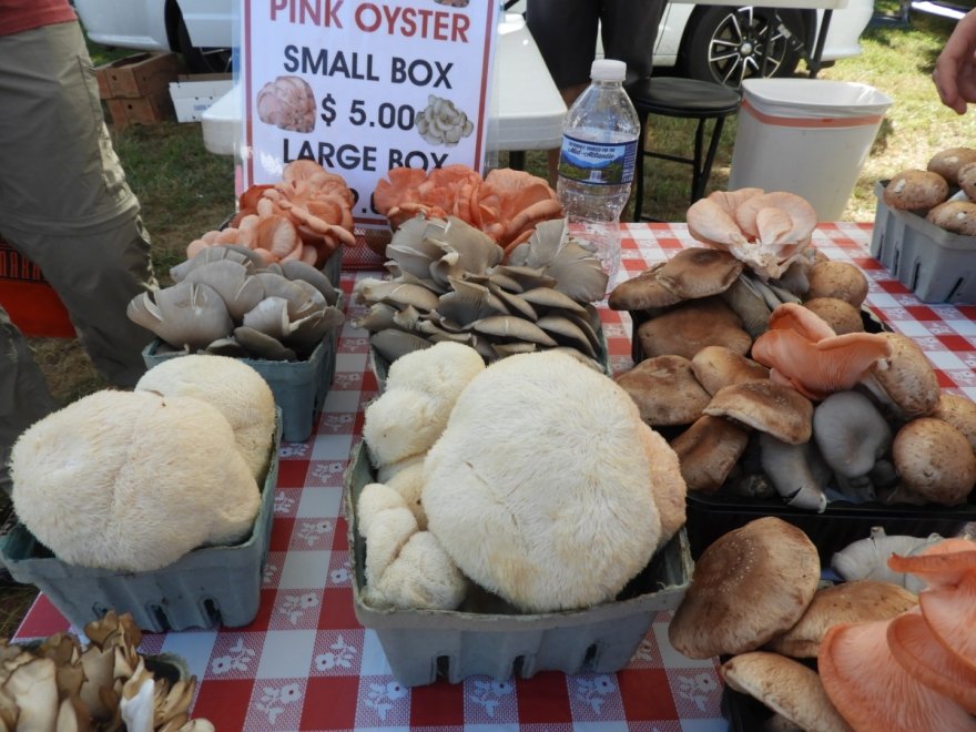 Historic Lewes Farmers Market