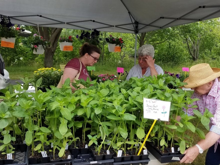 Historic Lewes Farmers Market