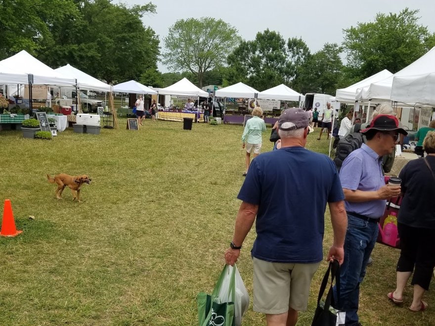 Historic Lewes Farmers Market