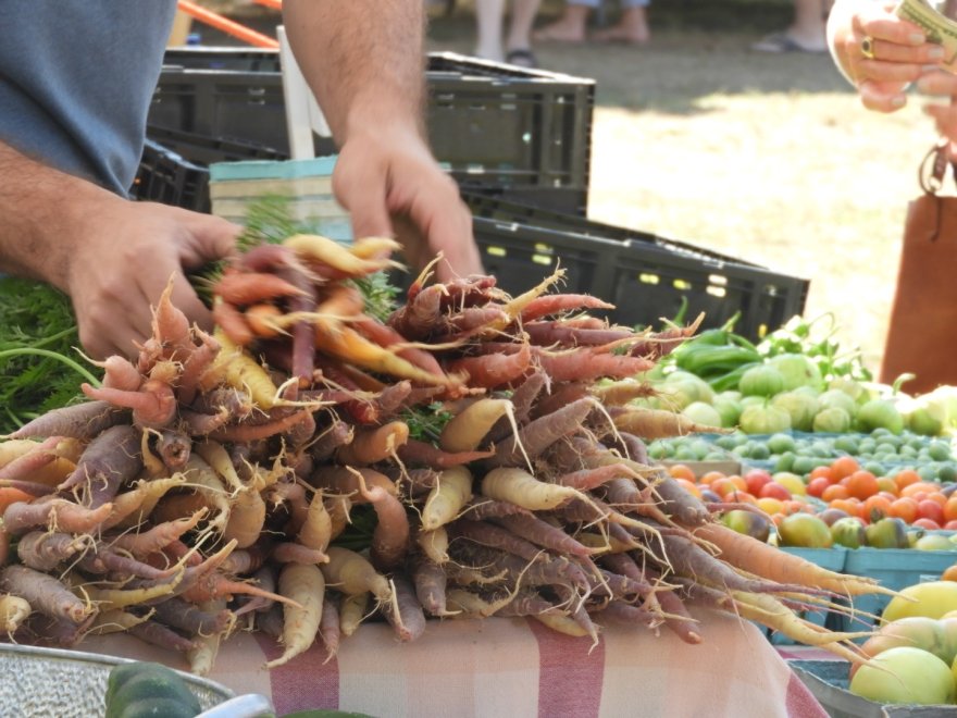 Historic Lewes Farmers Market