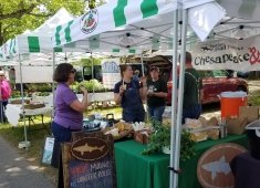 Rehoboth Beach Farmers' Market