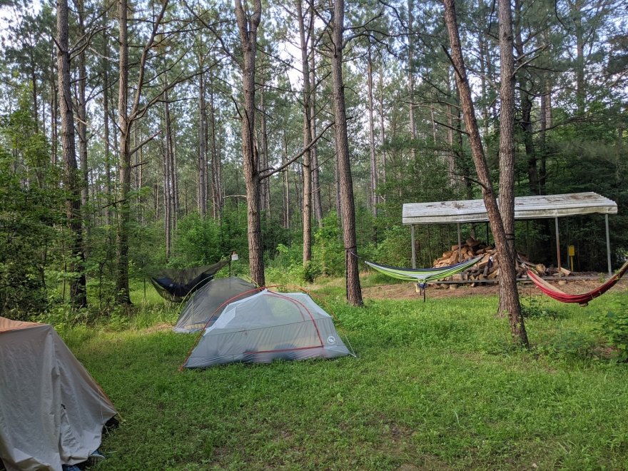 Redden State Forest