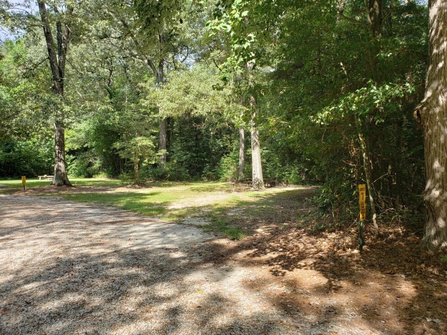 Redden State Forest
