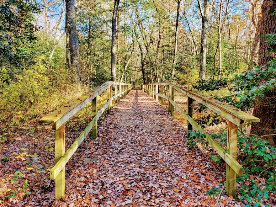 Redden State Forest