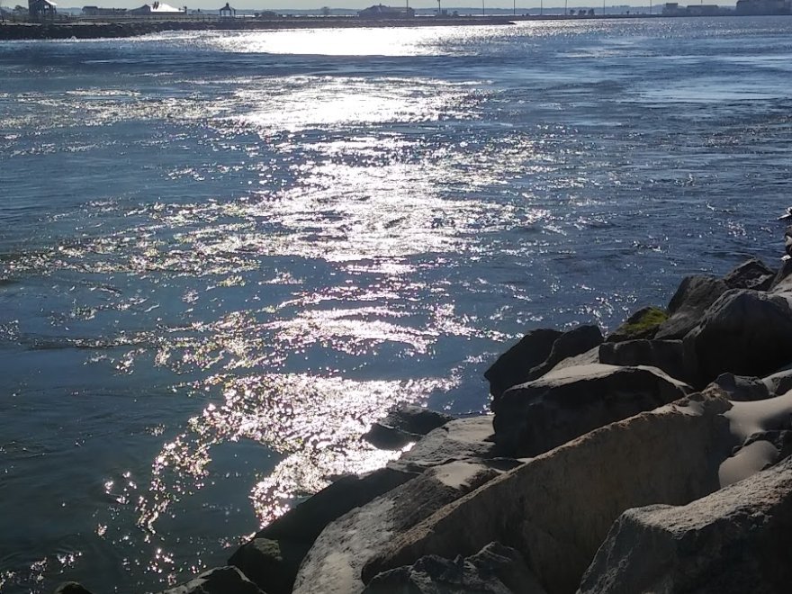 South Shore Marina